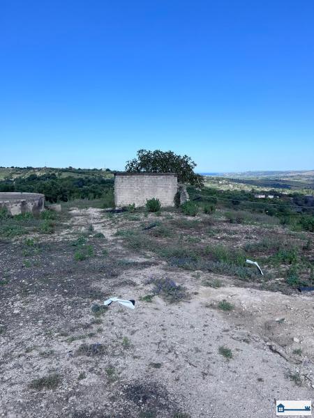 PHOTO-2025-07-09-11-42-40 (14).jpg